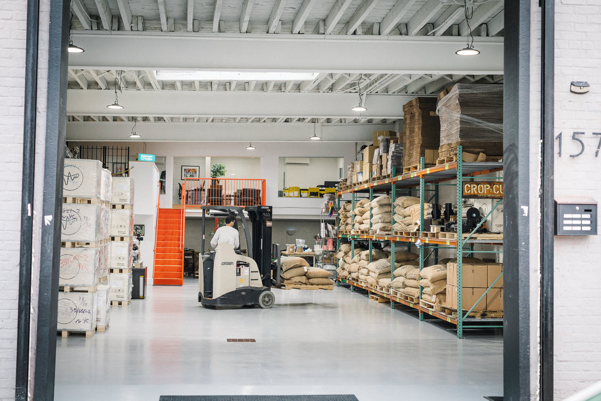 The Importer's showroom