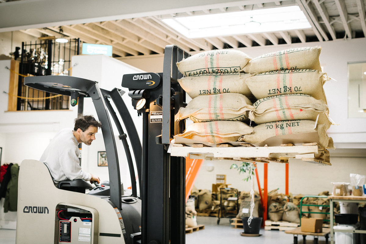 The Importer's showroom