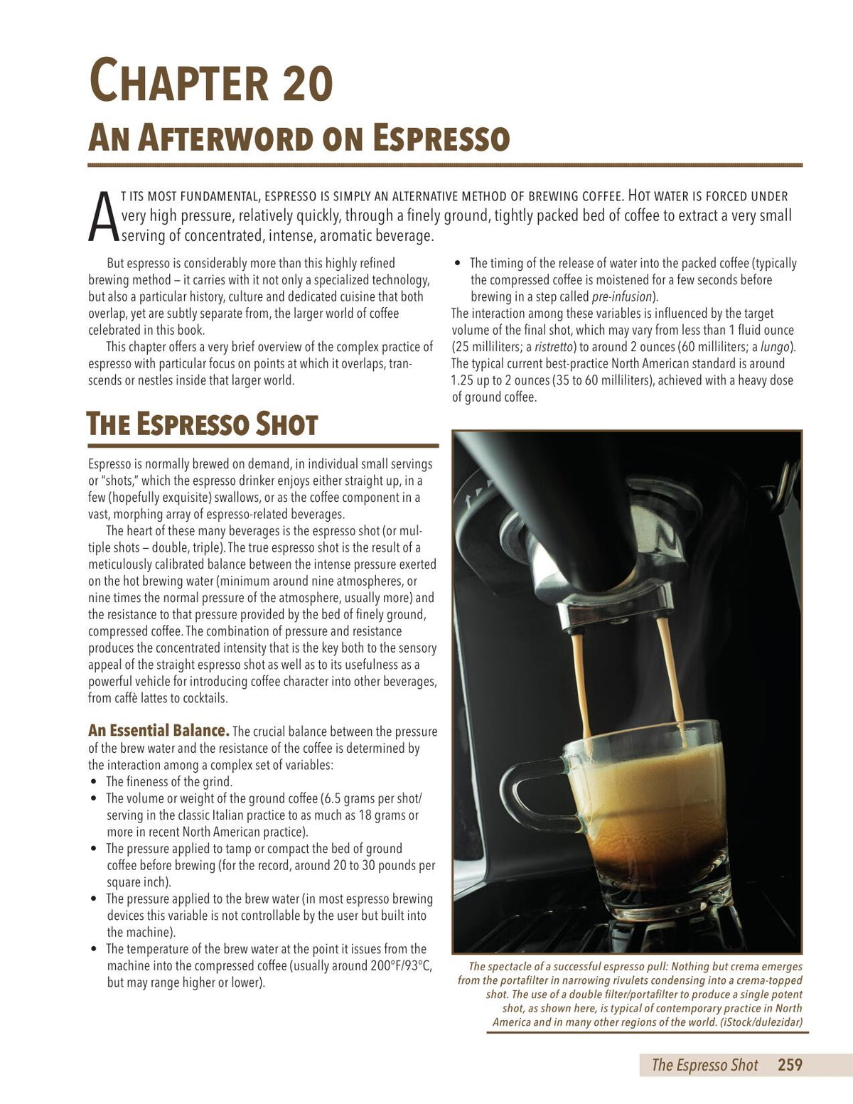 21st Century Coffee: A Guide, by Kenneth Davids