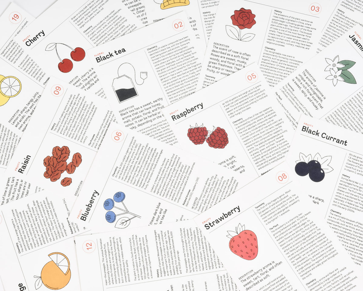 Le Nez du Café 2.0 - 60 Aromas
