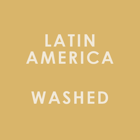 Bag Ends Latin America Single Origin Washed
