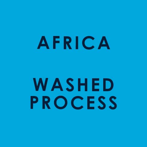 Bag Ends Africa Single Origin Washed