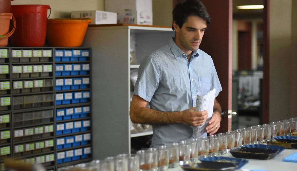 Taylor, Co-Founder of Crop to Cup and Showroom Coffee, stands before a cupping table in Goroka, Papua New Guinea.