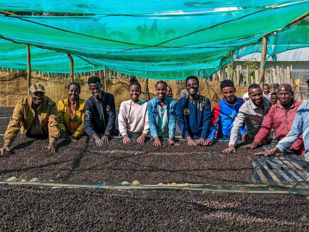 Bekele Belaycho