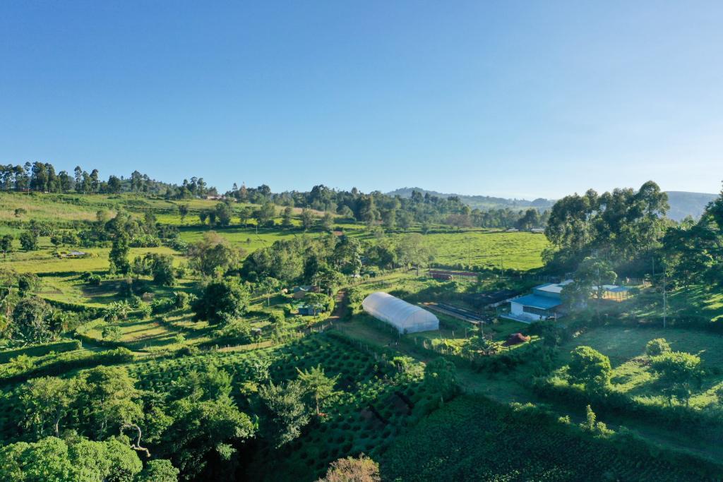 Chepsangor Hills Estate