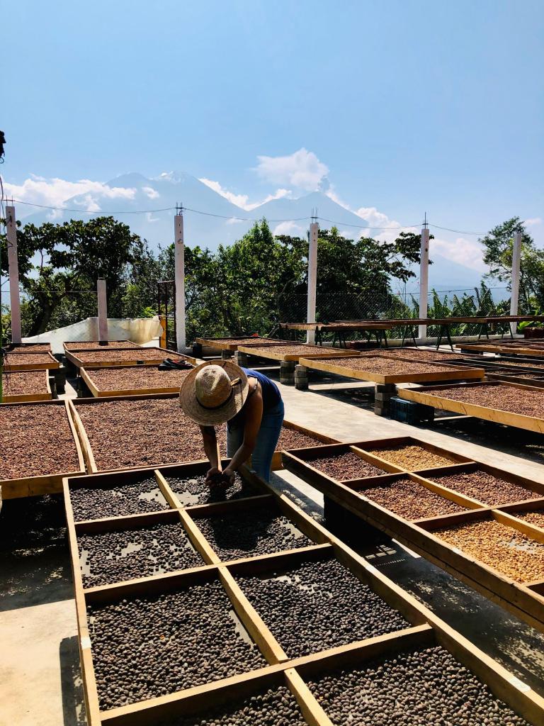 Finca La Senda