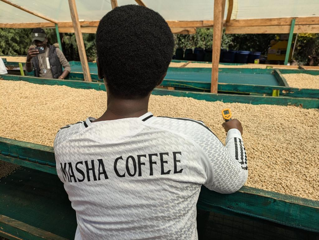 Masha Coffee