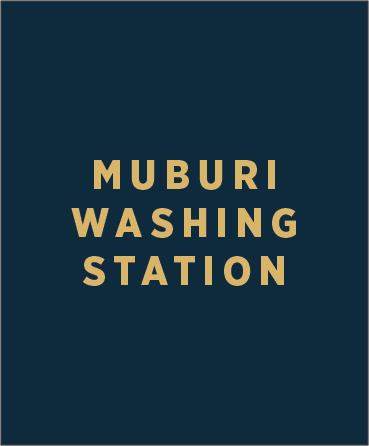 Muburi Washing Station