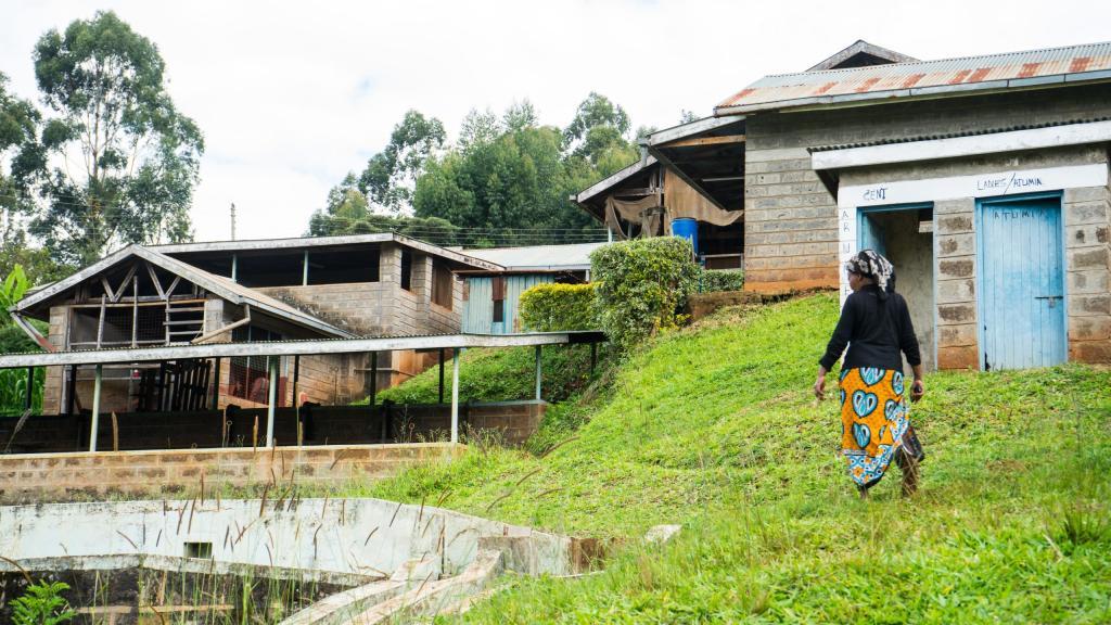 Ndiara Washing Station
